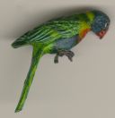 004mediumlorikeet.jpg (2834 bytes)