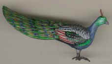 204peacock.jpg (4764 bytes)
