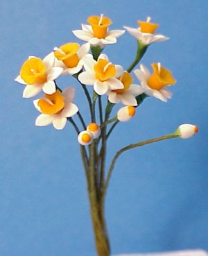 daffodilorange.jpg (18224 bytes)