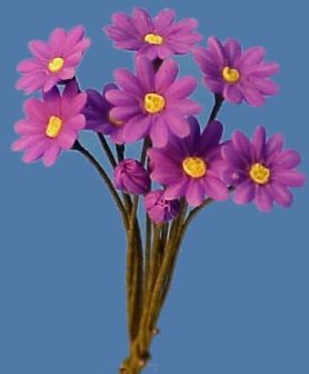 daisypurple.jpg (13718 bytes)