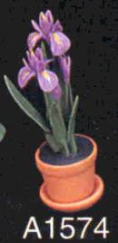 a1574purpleiris.jpg (5983 bytes)