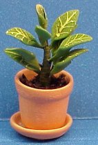 a462plant.jpg (9678 bytes)