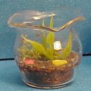 terrarium.jpg (4935 bytes)