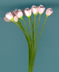 tulipltpink.jpg (7236 bytes)