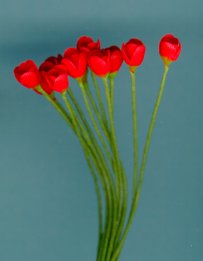 tulipltred.jpg (7101 bytes)