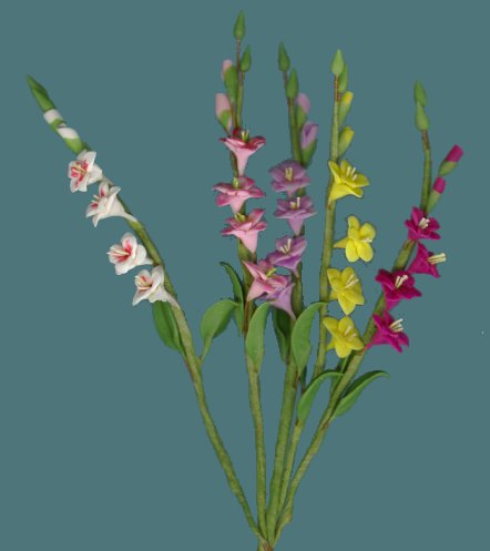 glads2.jpg (21990 bytes)