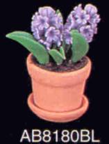 ab8180bluehyacinthus.jpg (5699 bytes)