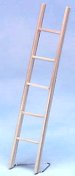 cla08670ladder.jpg (3111 bytes)